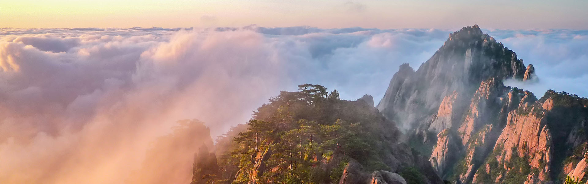 私密直播全婐APP